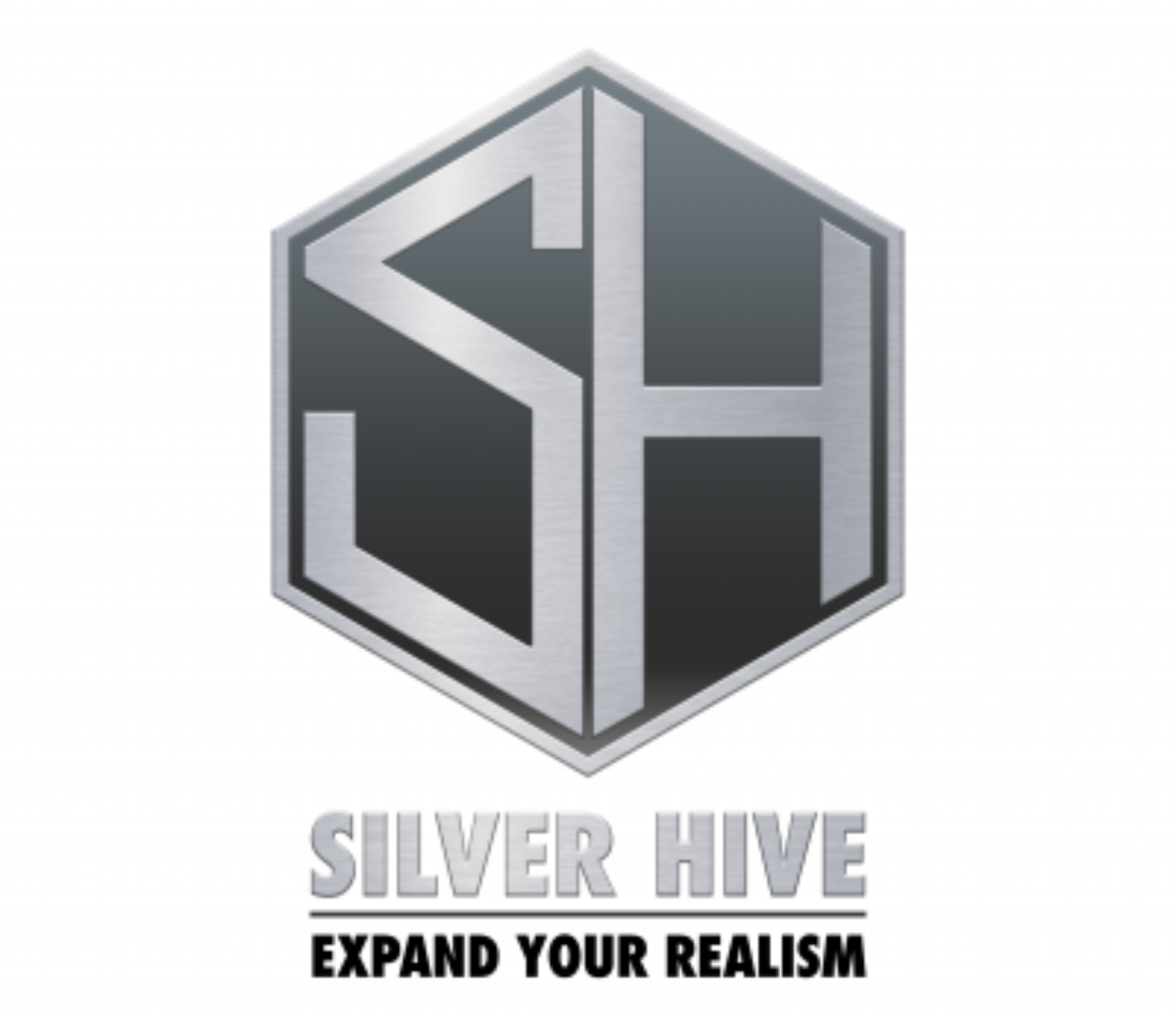 SILVER HIVE HOBBY